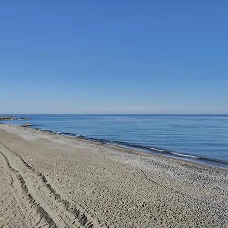 Lejlighed Casa Multicolor