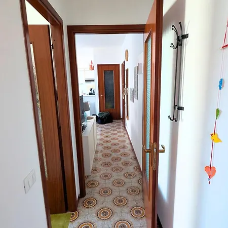 Daire Casa Multicolor *